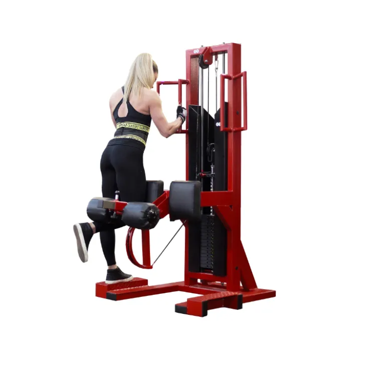 Appareil à charge guidée leg curl pour travail complet des ischios-jambiers - Colonne de poids de 80 kg