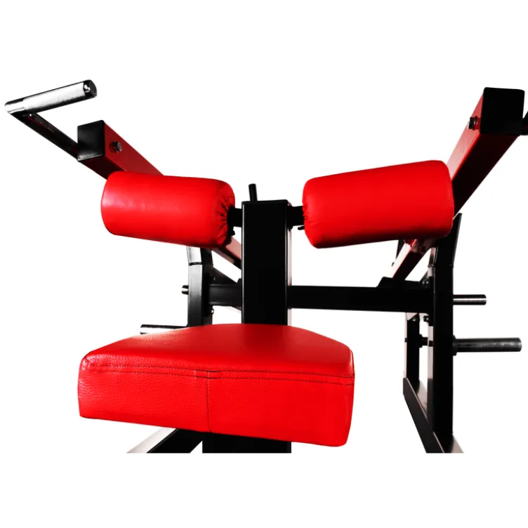 Appareil de musculation pour les triceps et biceps à charges libres avec bras indépendants - Centres sportifs professionnels