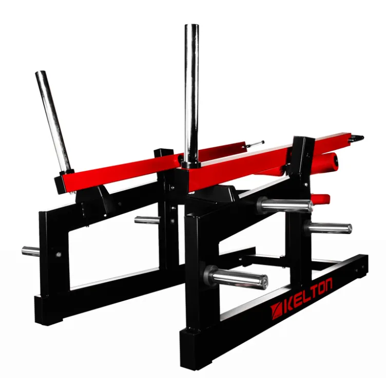 Appareil de musculation pour les triceps et biceps à charges libres avec bras indépendants - Centres sportifs professionnels