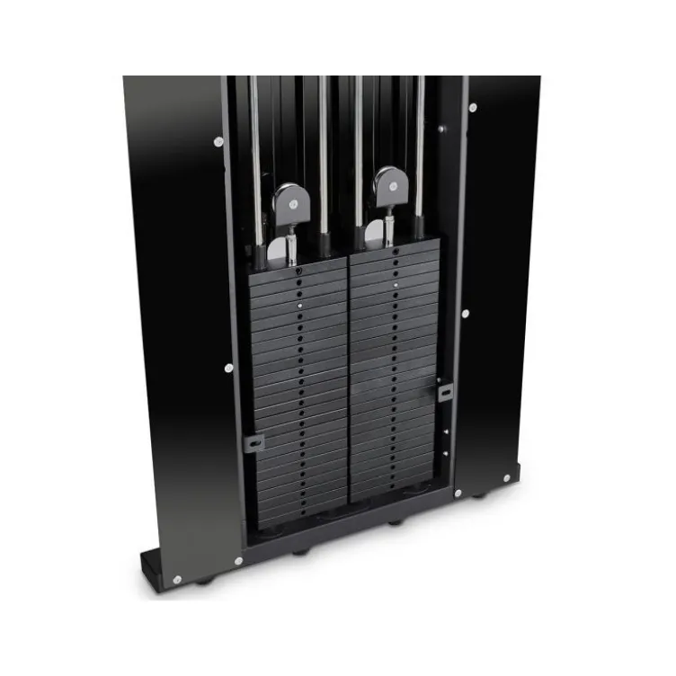 Appareil de tirage poulie vis à vis mural ATX avec capacité de charge 2 x 60 kg