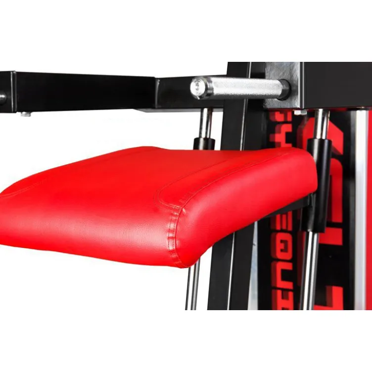 Appareil à dips et tractions assistés de haute qualité pour espace de musculation avec colonne de poids de 112.5 kg
