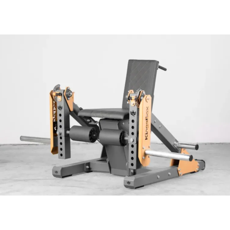 Appareil professionnel en acier de leg curl et leg extension avec capacité de charge extrême - Kingsbox