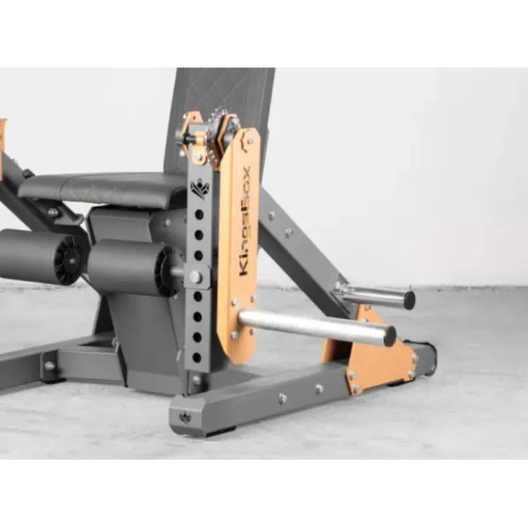 Appareil professionnel en acier de leg curl et leg extension avec capacité de charge extrême - Kingsbox