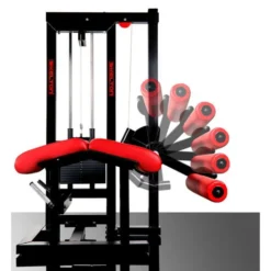 Appareil professionnel musculation des cuisses allongé avec conception innovante pour établissements sportifs