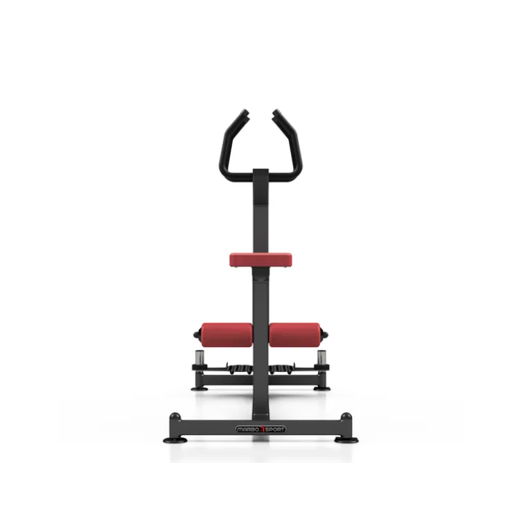 Appareil professionnel Twister assis et debout pour entraînement des abdominaux et des obliques