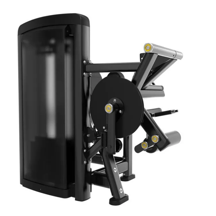Appareil pro leg curl leg extension Titanium à charge sélective 120 kg pour les quadriceps et ischio-jambiers - Genesis GS-S33
