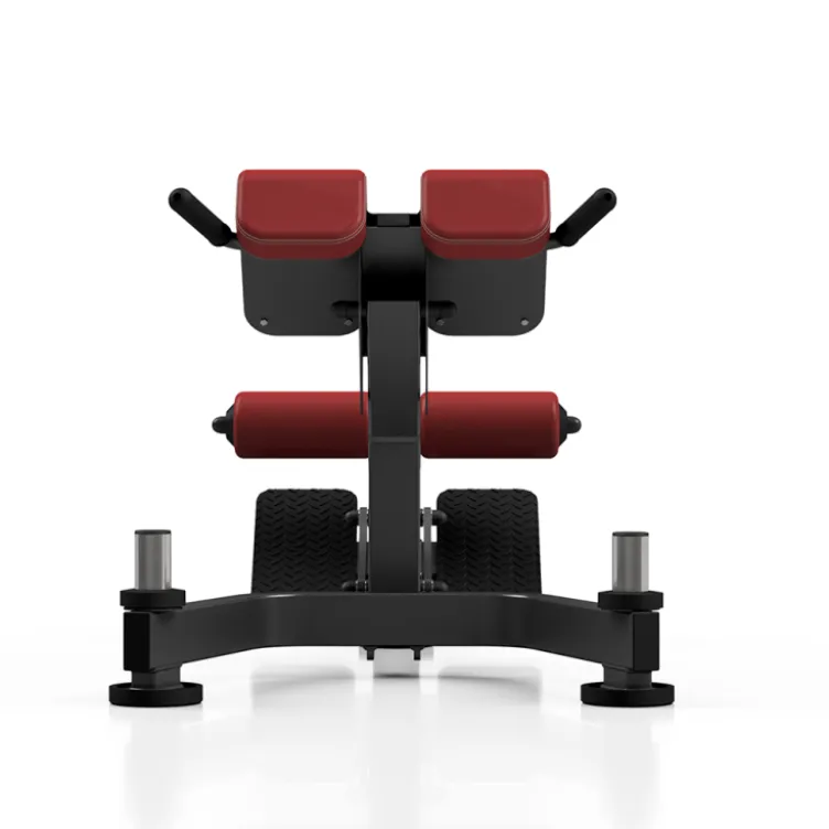 Banc back extension professionnel 350 kg
