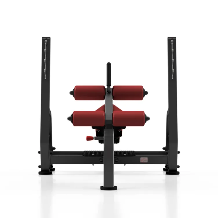 Banc de musculation décliné professionnel charge 400 kg