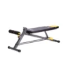 Banc de musculation multi-équipé avec option pupitre à biceps et banc hyperextension - Réglages multiples