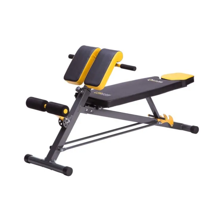 Banc de musculation multi-équipé avec option pupitre à biceps et banc hyperextension - Réglages multiples