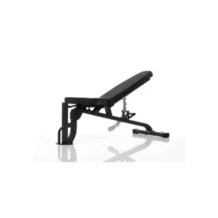 Banc de musculation professionnel charge 270 kg ajustable dossier et assise