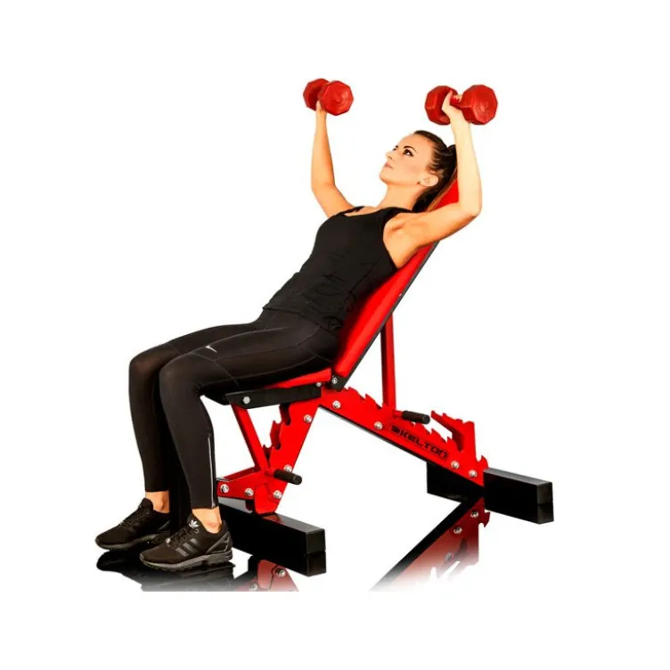 Banc de musculation professionnel avec support à option et capacitéde charge 1000 kg