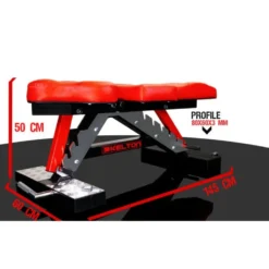 Banc de musculation professionnel avec dossier réglable sur 7 positions - Siège ajustable