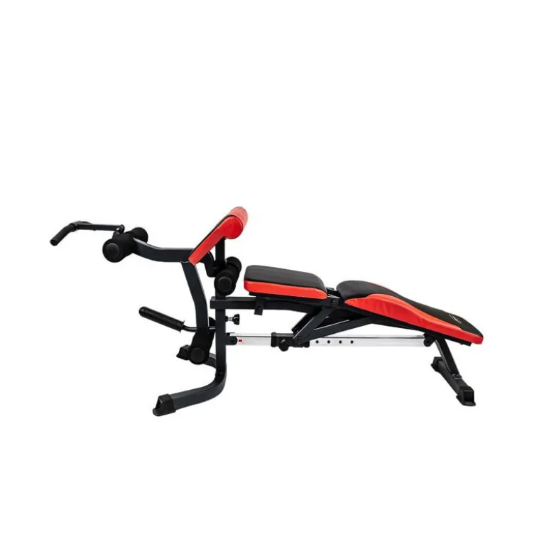 Banc de musculation réglable pupitre à biceps et leg extension pour home gym