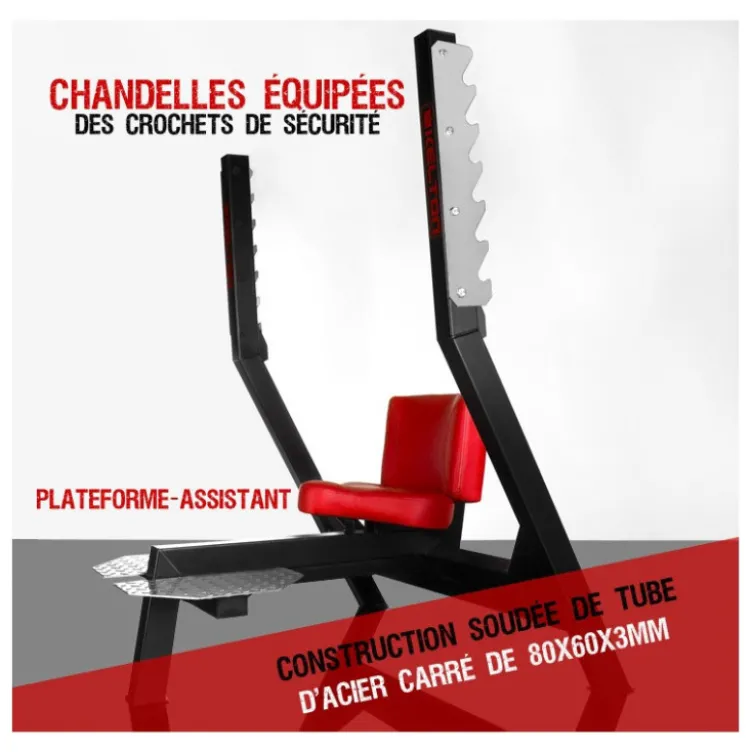 Banc développé assis pour entraînement de musculation en homegym - Capacité extrême : 800 kg