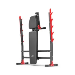 Banc développé couché inclinable et déclinable 250 kg