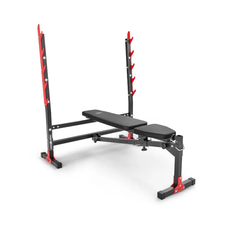 Banc développé couché inclinable et déclinable 250 kg