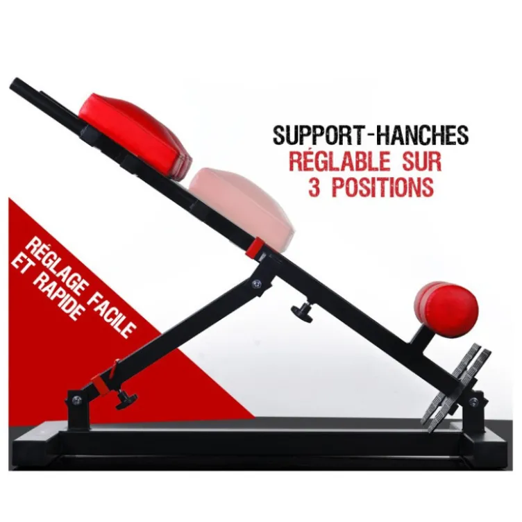 Banc professionnel pour exercices de lombaires et abdominaux