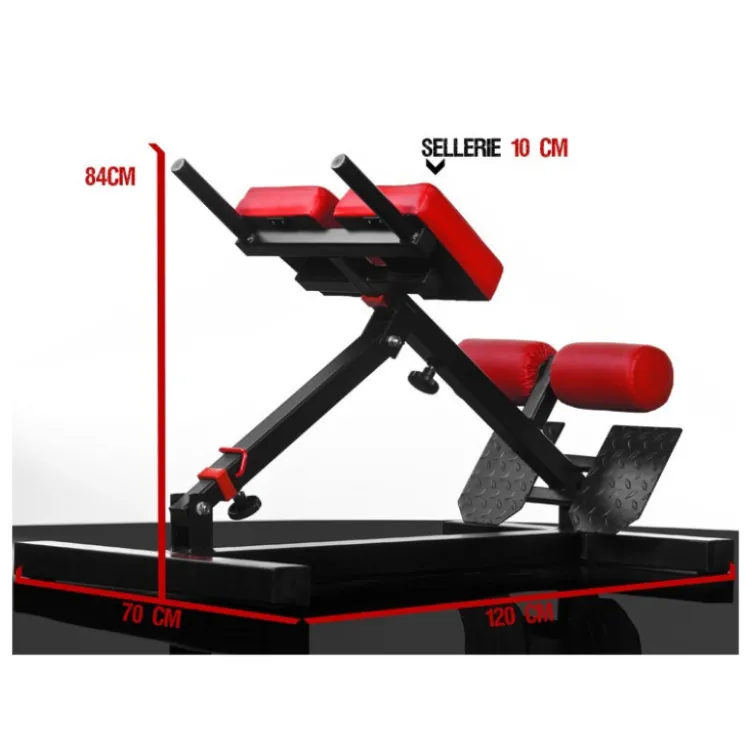 Banc professionnel pour exercices de lombaires et abdominaux