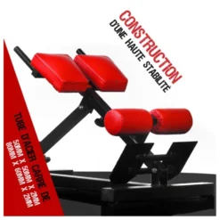 Banc professionnel pour exercices de lombaires et abdominaux