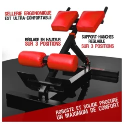 Banc professionnel pour exercices de lombaires et abdominaux