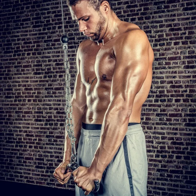 Barre triceps / curl en V de 38 cm avec embouts arrondis