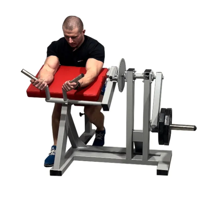 Biceps/Triceps Curl professionnel à charge libre pour disques 50 mm - Station de musculation pour biceps et triceps
