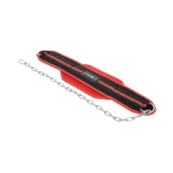 Ceinture de lest pour entraînement de musculation avec chaîne en acier : Charge max 150 kg
