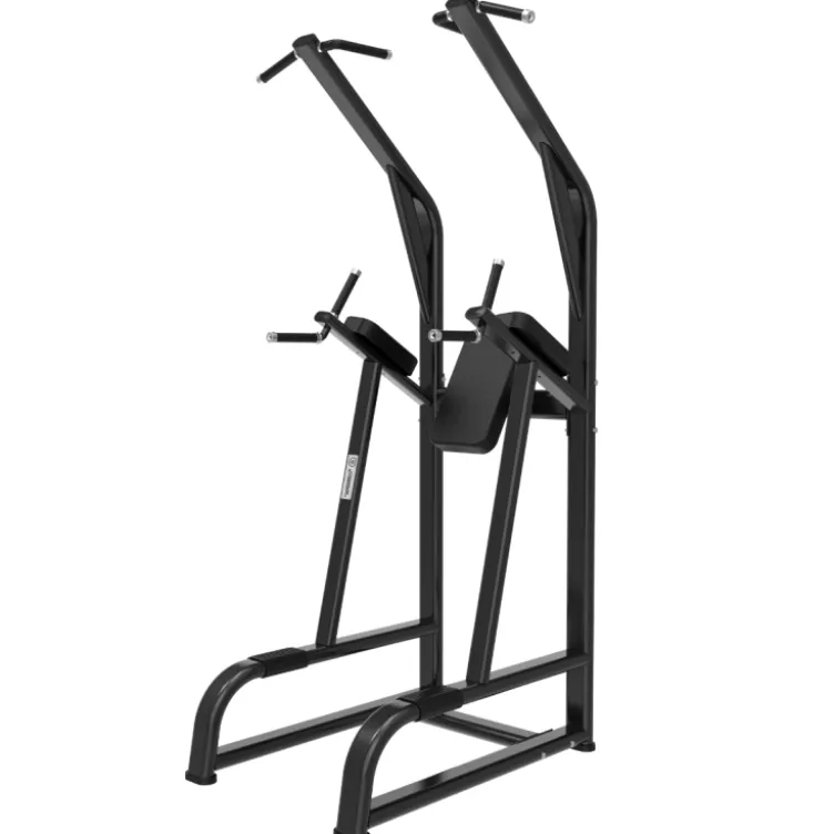 Chaise Romaine multifonctions pour Professionnels - Power Tower Black Series Titanium Strength