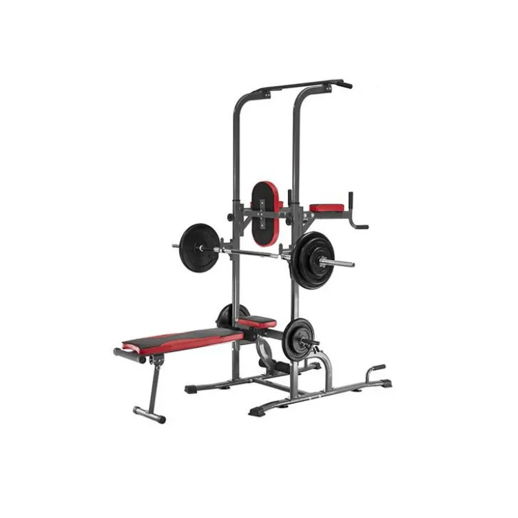 Chaise romaine multifonction pliable traction dips et dévéloppé couché home gym