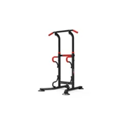 Chaise romaine réglable et multi-fonctionnalités ciblé pour haut du corps