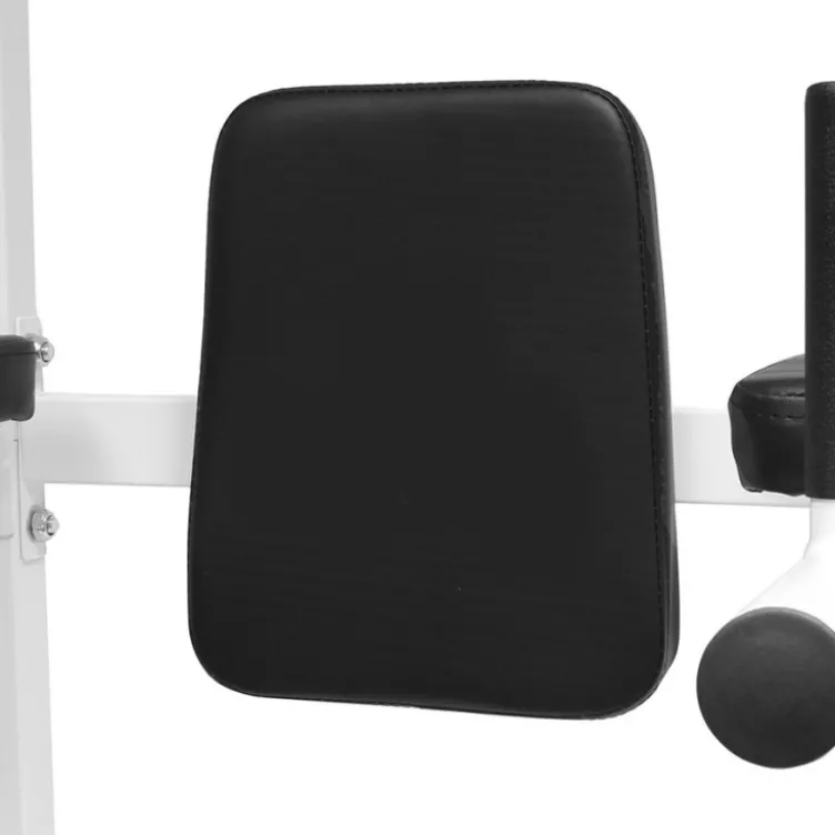 Chaise romaine station à traction, dips et abdominaux pour Home-gym