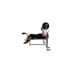Chaîne lestée de poids pour entraînement à la barre libre - de 20 à 30 kg