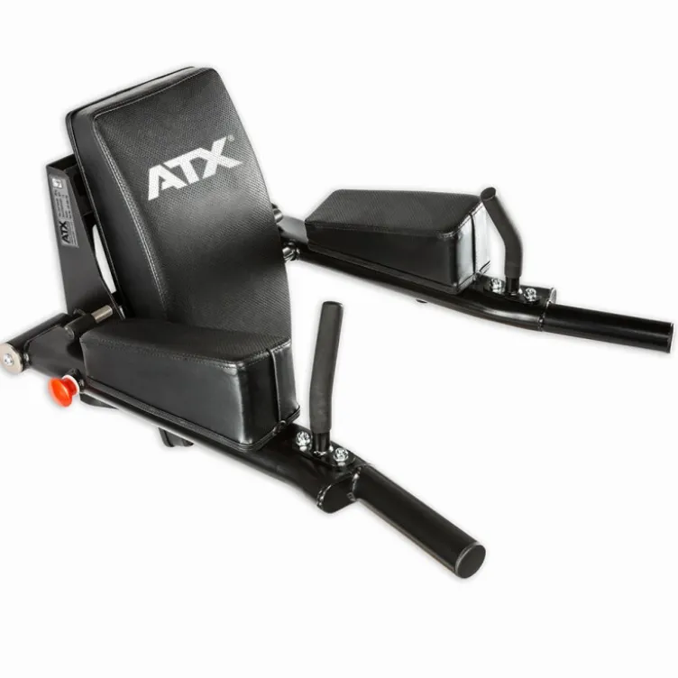 Combo poste à dips et abdominaux pliable à fixation murale charge 200 kg