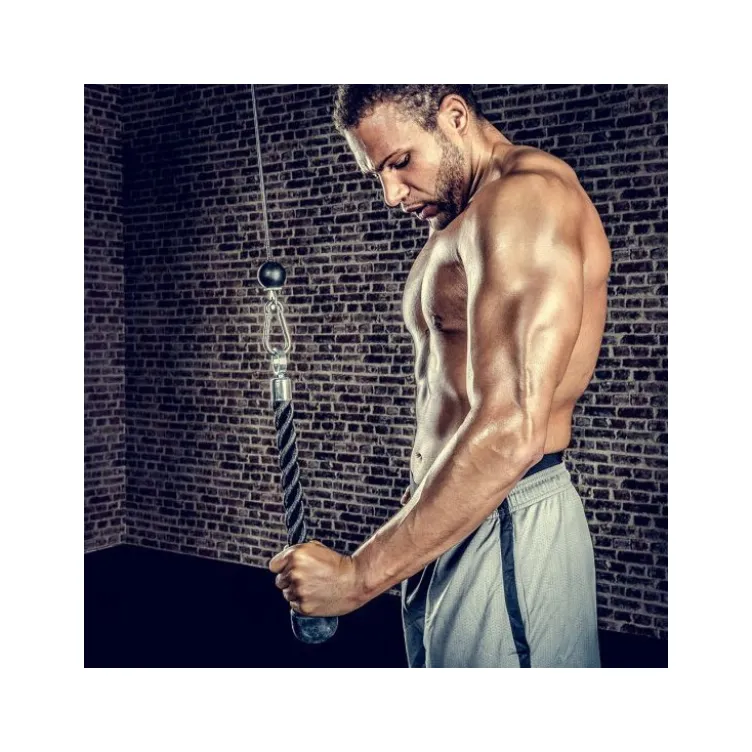 Corde de tirage à triceps un bras 40 cm pour machine à poulie