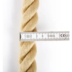 Corde à triceps avec oeillet d'attache pour entraînement à la poulie