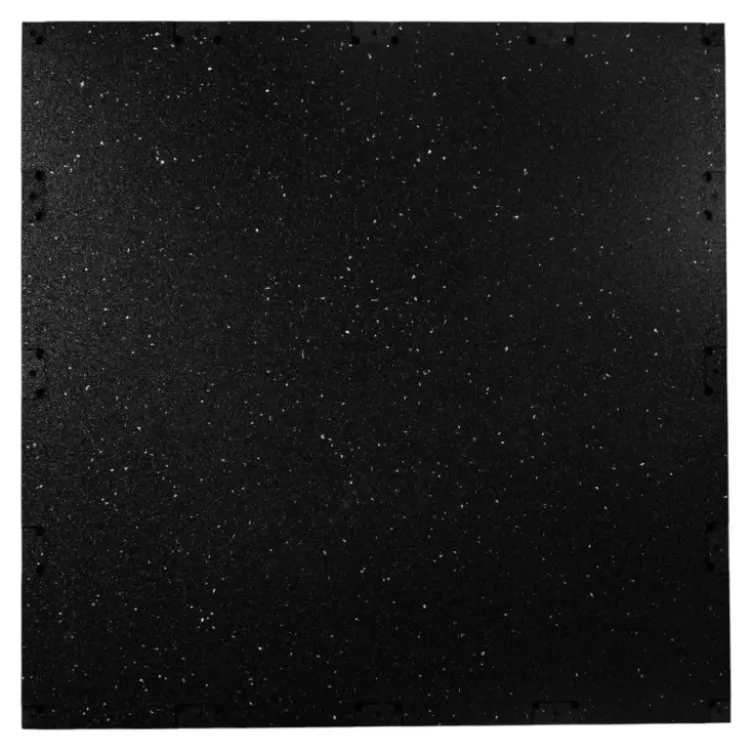 Dalles de protection du sol en caoutchouc SBR et picots EPDM 100 x 100 x 4 cm pour espaces sportifs exigeants