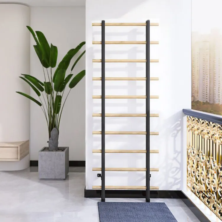 Espalier à fixation murale 220 x 80 cm avec barre de traction fixe et barres à dips - Conception en bois de hêtre et métal