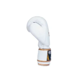 Gants de boxe en cuir naturel pour sports de combat