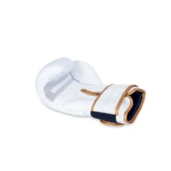 Gants de boxe en cuir naturel pour sports de combat