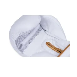 Gants de boxe en cuir naturel pour sports de combat