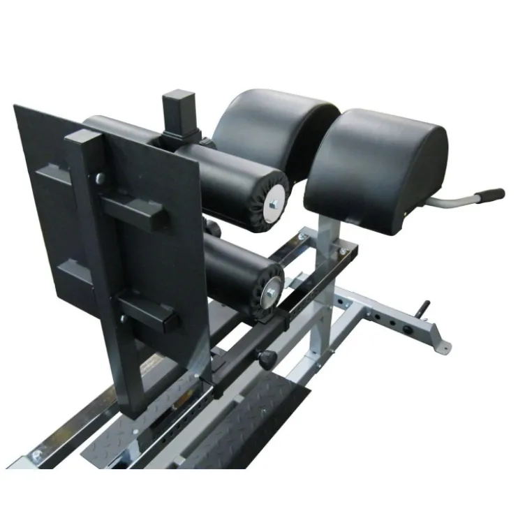 Glute ham raise de musculation Force USA avec réglages divers - Confort extrême
