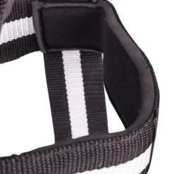 Harnais de tête pour musculation avec rembourrage et fermeture velcro