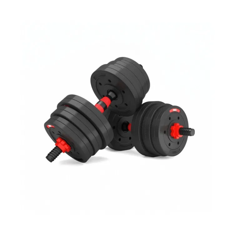 Kit d'haltères avec disques de poids et une barre extensible pour homegym - 20 KG