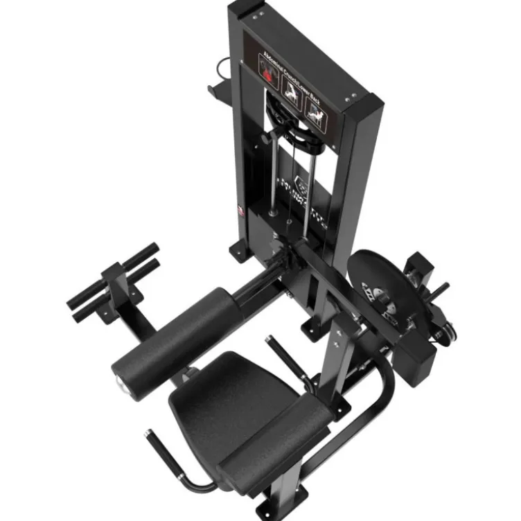 Machine Abdominaux dual Lombaires Élite RX – Station à charge guidée pour gainage et back extension ELRX-S39 Titanium Strength