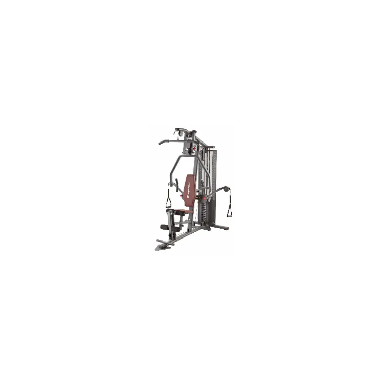 Machine de fitness et musculation à domicile multi-poste avec colonne de poids 91 kg et poulie haute / basse