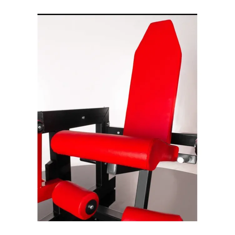 Machine de musculation pour quadriceps et mollets à charges libres pour espaces sportifs publics