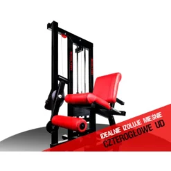 Machine de musculation pour quadriceps et cuisses idéale pour espaces sportifs professionnels - Administrations - Associations