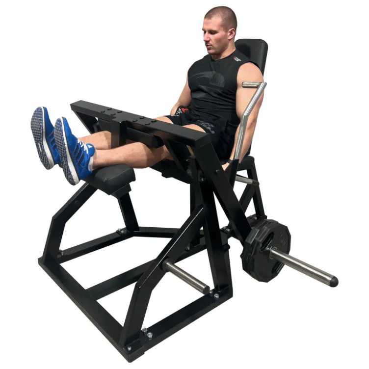 Machine de musculation professionnelle Leg Curl pour exercices de flexions de jambes à charge guidée