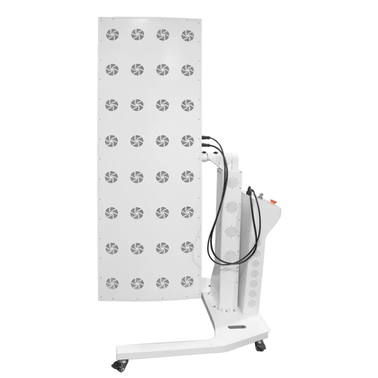 Machine de photothérapie avec 1000 diodes LED de lumière rouge - Récupération musculaire et solidification des os
